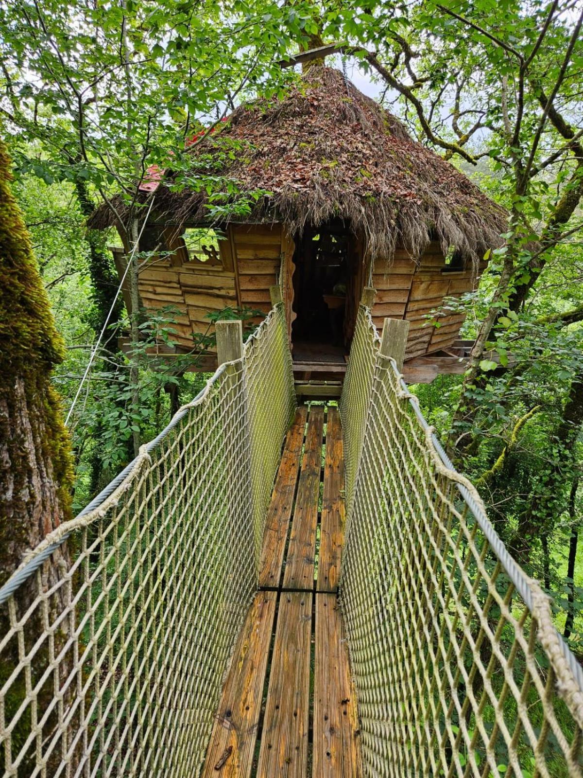 Campsite Dans Les Arbres - Les Lutins *